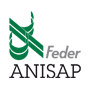 Anisap Feder