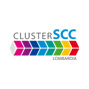 Cluster SCC